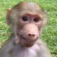 A Horse Named Charlie