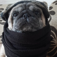 Jezus✞pokazał✞drogę✞ku