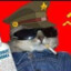 Gatochifa Comunista ☭