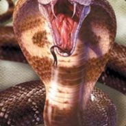 Syrus le virus - steam id 76561197961254687