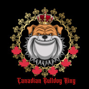 Canadian  Bulldog King