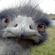 Sold82tone