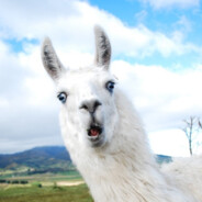 RadioactiveLlama