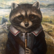 A Small Raccoon avatar