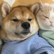 重生之战神胡图图