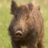 ivanvasiliypetryakov