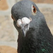 ThePigeon