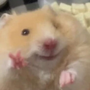 Meio Game