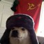 Soviet_Pupper