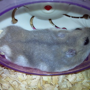 Blueberry0328