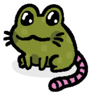 Kotta