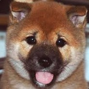 Doggu