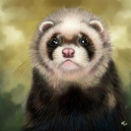 Shu_Ran (Воин хорёк)