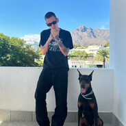 stray dog 8¹₂