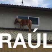 RAÚL