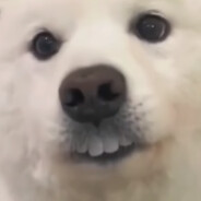 oͦͦͦͦͦͦͦͦͦͦͦͦͦͦͦ