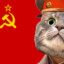 soviet cat