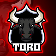 Toro496