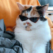 L3gend iz CHERNIVTSI