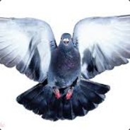 pigeon's Avatar