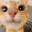 Group Avatar