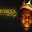 The Notorious