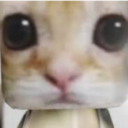 Elchocomolo