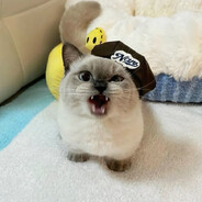 sáu bảy Steam avatar