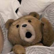 Oyuncak ayı oyuncusu