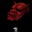 Group Avatar