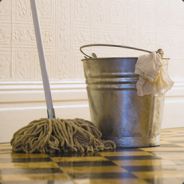 Mop and Bucket's Avatar