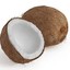 coconut