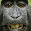 Monke