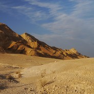 Negev ist Liebe, Negev ist Leben