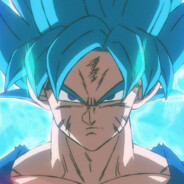 dgt ssj n