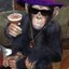Matata The Pimpin&#039; Chimp