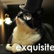 Exquisite