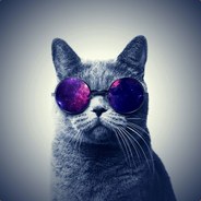 Котик™