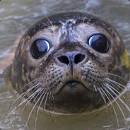 seaseal