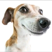 Ебака Сабака