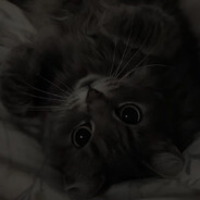 Ranked Opponent's Avatar