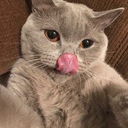 Круасанчик ^_^