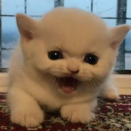 蓝色