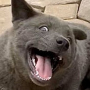 hMông Rậm Lông