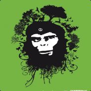 Nerdygamername's Avatar