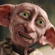 Dobby Shlobby