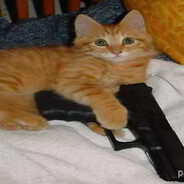 Avatar de これを読んでいる人は