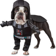 Darth Dog