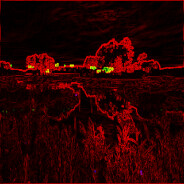 THE MARSH