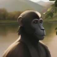 𝚔𝚞𝚌𝚌𝚒